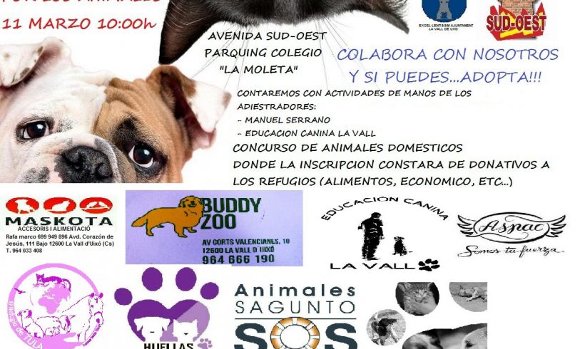 II FERIA SOLIDARIA POR LOS ANIMALES – VALL D’UIXÒ