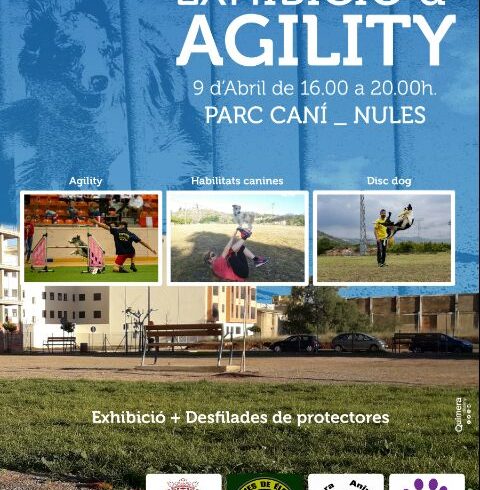 EXHIBICIÓ D’AGILITY – NULES