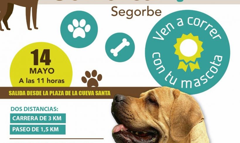 PERRO CROSS – SEGORBE