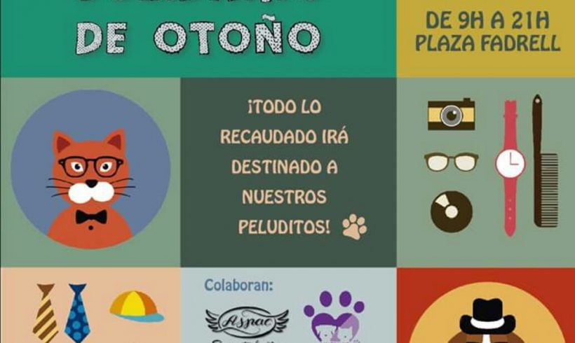 Rastrillo Solidario de Otoño