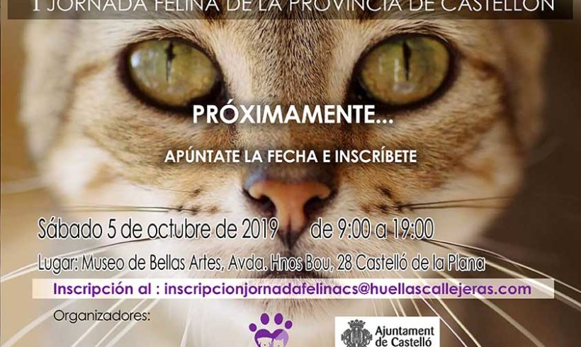 I Jornada Felina de Castellón